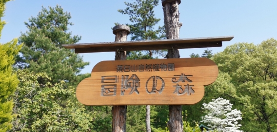 冒険の森大作戦開催